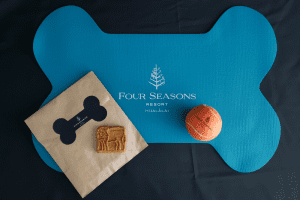 Popup Image: Pet Themed Set