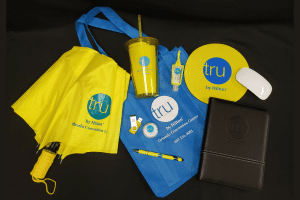 Popup Image: Themed Hotel Set