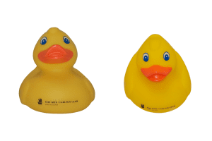 Popup Image: Rubber Duckie